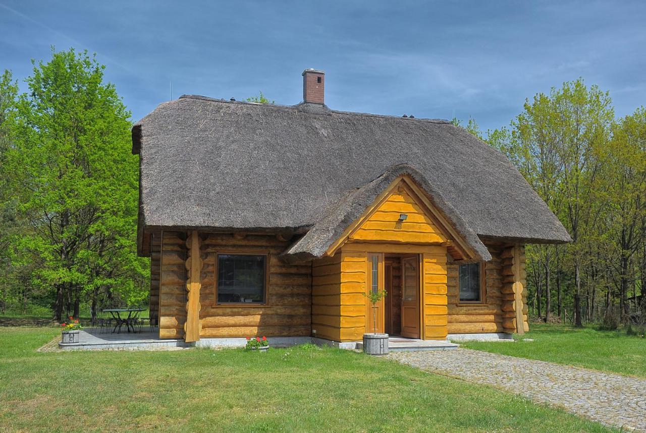 Villa Dom Pod Sosnami Gryżyna Exterior foto