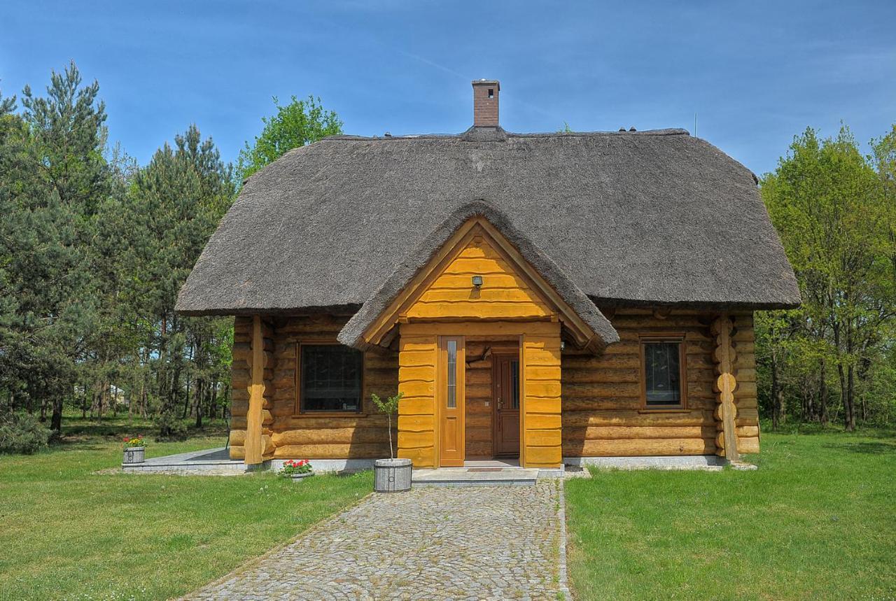 Villa Dom Pod Sosnami Gryżyna Exterior foto