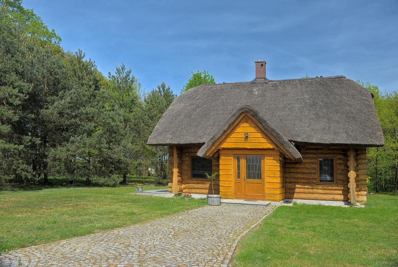 Villa Dom Pod Sosnami Gryżyna Exterior foto
