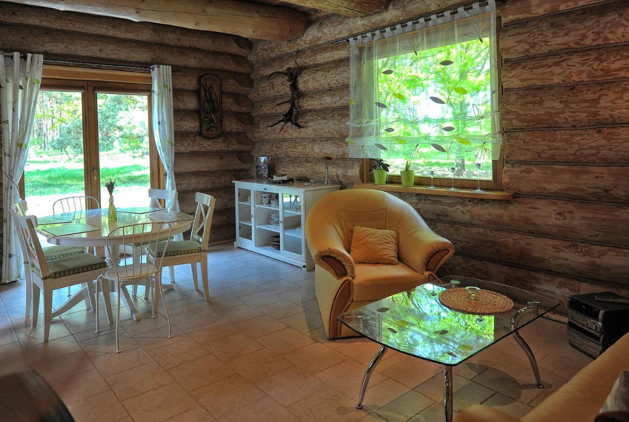 Villa Dom Pod Sosnami Gryżyna Exterior foto